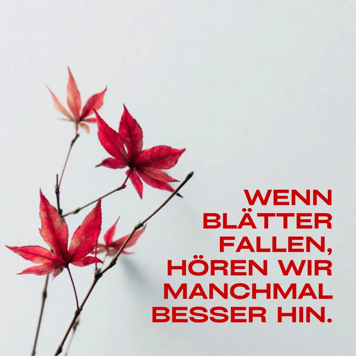 Zitatkarte mit roten Ahornblättern und dem Text „Wenn Blätter fallen, hören wir manchmal besser hin.“